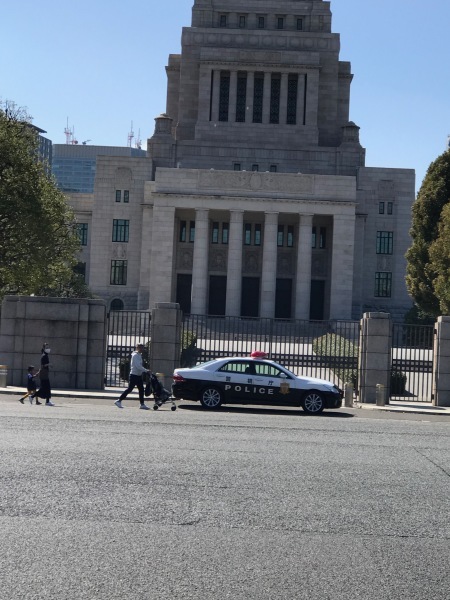 つるとんたんでランチして土筆摘みに_e0397389_16342626.jpeg