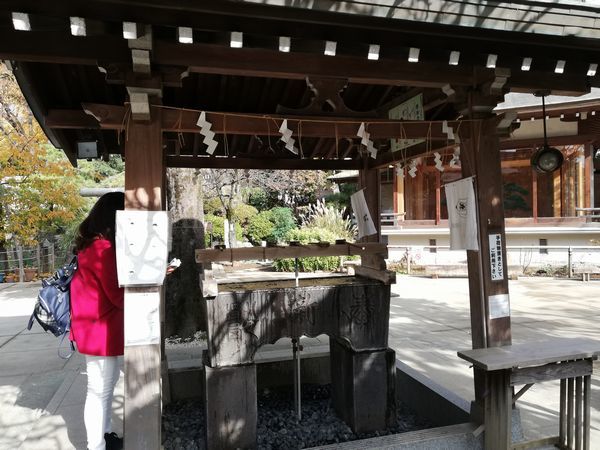 鳩森八幡神社　現存する都内最古の富士塚がある神社_c0361995_22384072.jpg