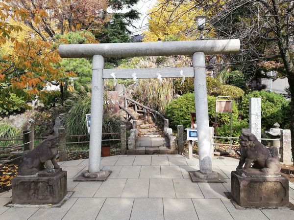 鳩森八幡神社　現存する都内最古の富士塚がある神社_c0361995_22403429.jpg