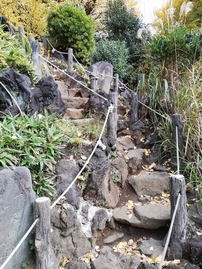 鳩森八幡神社　現存する都内最古の富士塚がある神社_c0361995_22440838.jpg