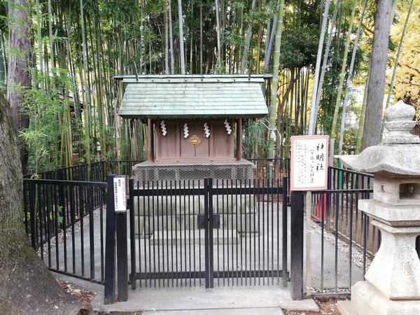 鳩森八幡神社　現存する都内最古の富士塚がある神社_c0361995_22484233.jpg