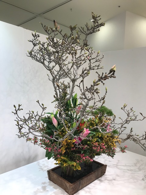 いけばな展_f0204295_18020294.jpg