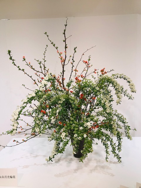 いけばな展_f0204295_18023426.jpg