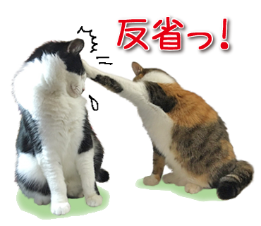 d0071596_23113192.png