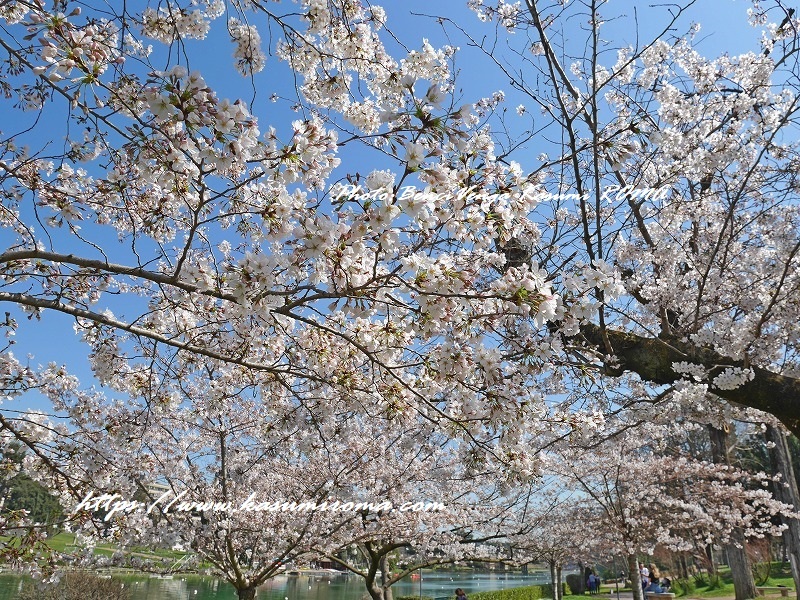b0096600_07014602.jpg
