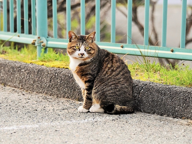 エールをおくろう_d0360206_00523671.jpg