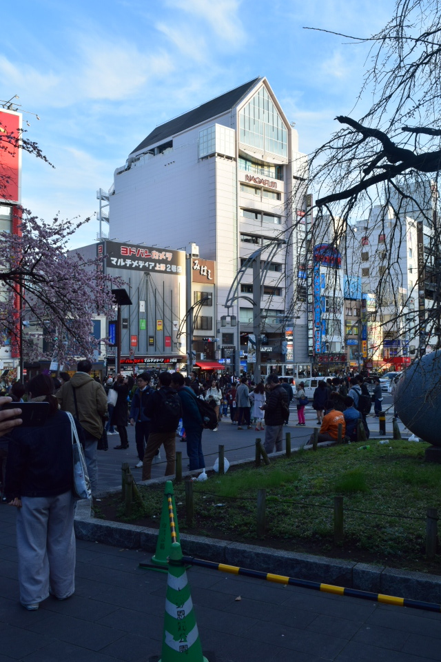 不動貯金銀行上野支店(建築家・関根要太郎作品研究)_f0142606_14382587.jpg