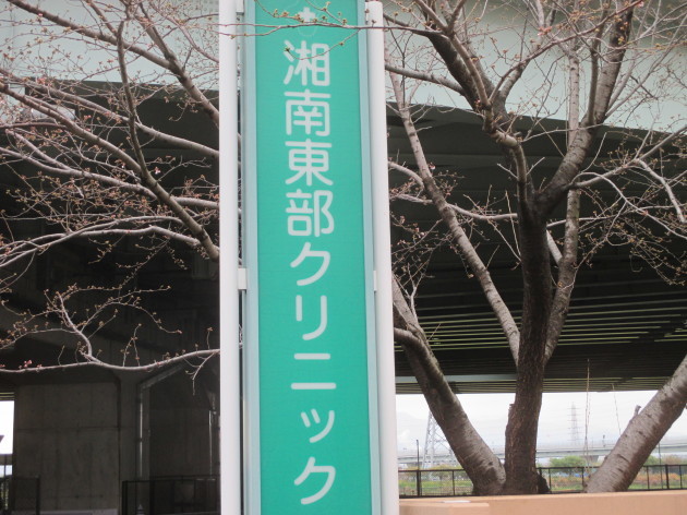 b0183111_19264474.jpg