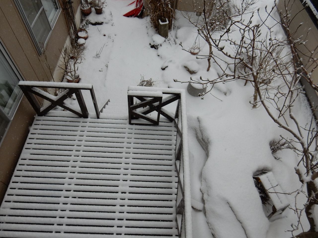 根雪の終日はキャンセルされました_c0025115_22003813.jpg