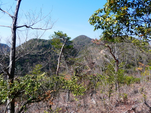 d0170615_18464691.jpg