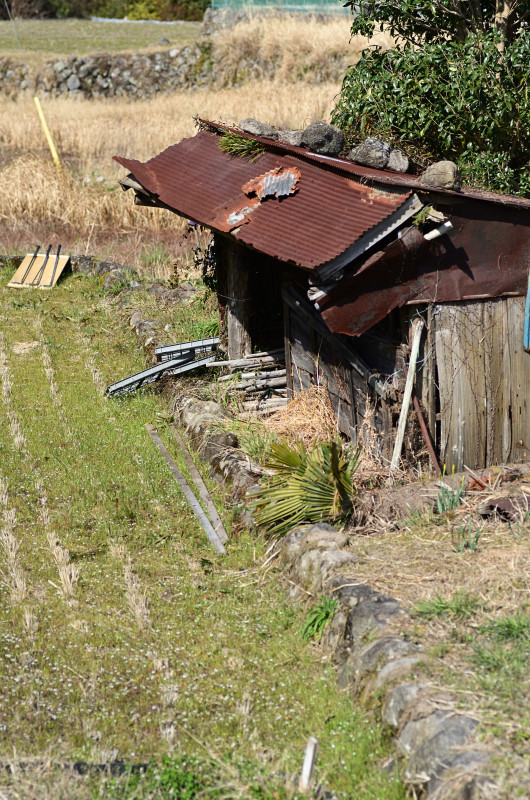 e0362418_16220186.jpg