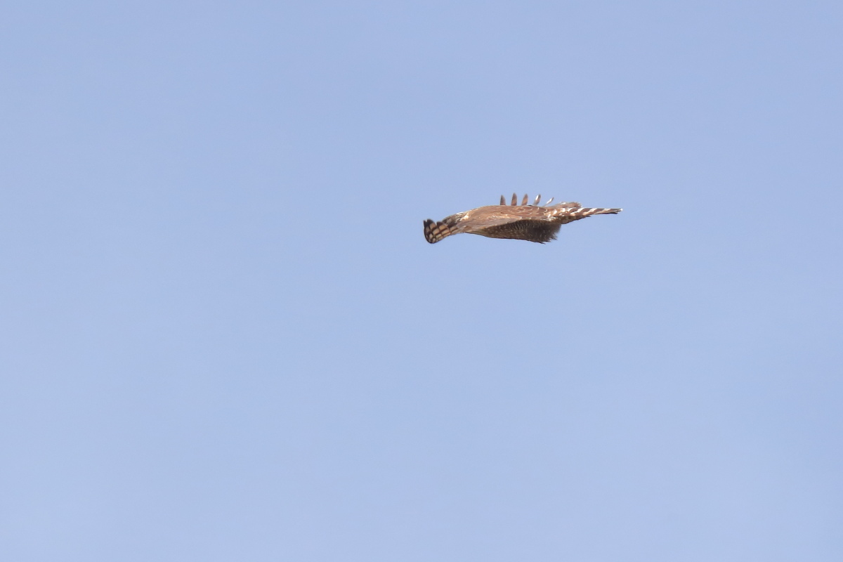 f0288418_12240710.jpg