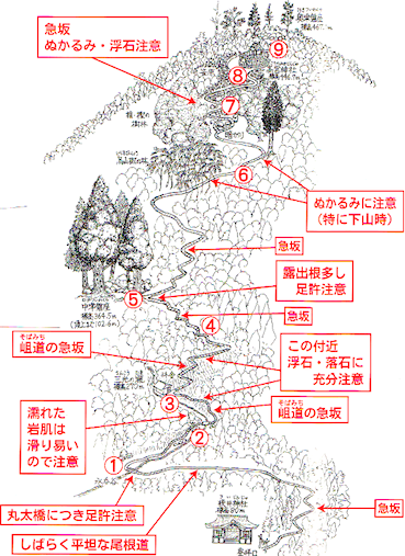 六甲山と瀬織津姫 220 大王の名は向津彦_a0300530_17004145.png