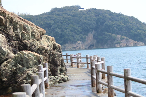 里山トレッキング②_a0345833_20014212.jpg