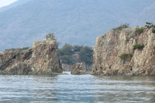 里山トレッキング②_a0345833_20065679.jpg