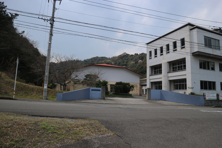 イワタイゲキ(岩大戟)&ミツバツツジを楽しむ!_e0272335_17443540.jpg