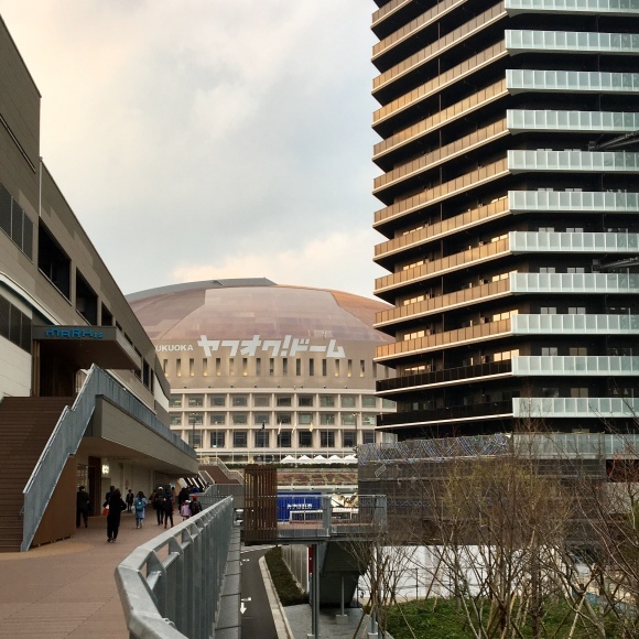 f0372445_08152787.jpeg