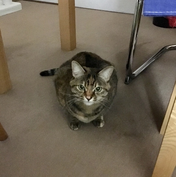 f0372445_08155406.jpeg