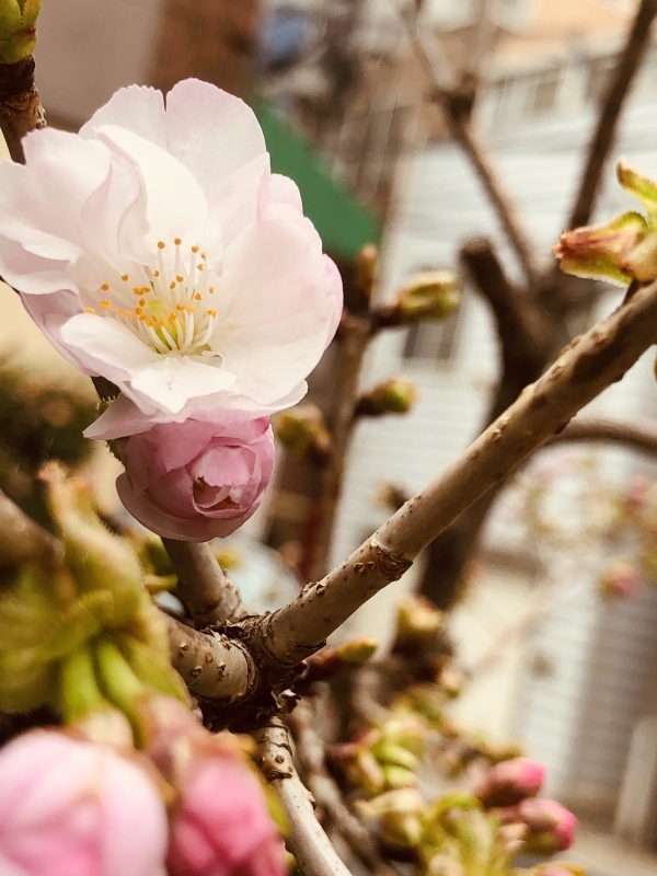 d0243849_18421751.jpeg