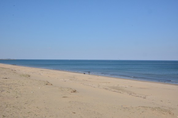 e0341849_21441133.jpg