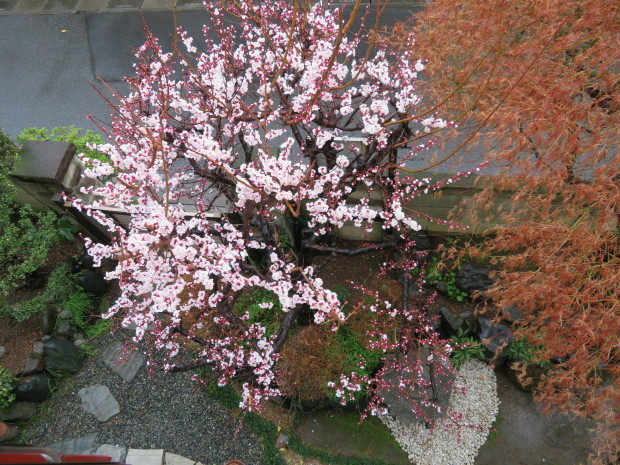f0329849_21481070.jpg