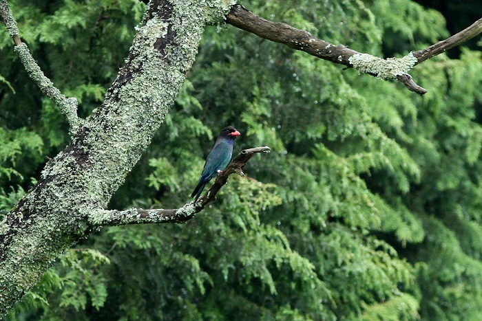 c0385854_18294961.jpg