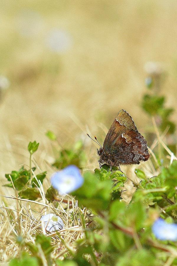 d0387460_18080851.jpg