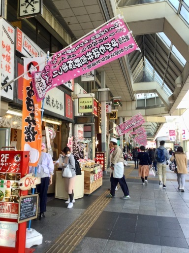 a0053063_08400613.jpeg