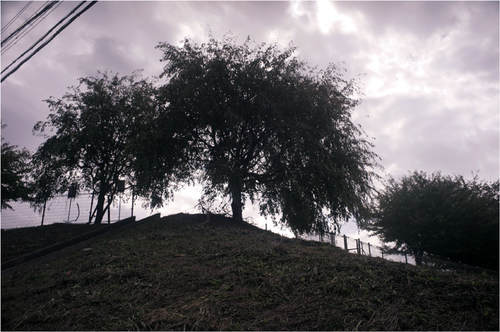 c0168172_17095359.jpg
