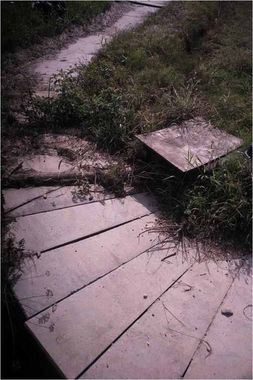 c0168172_17111417.jpg