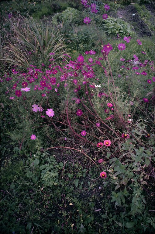c0168172_17183765.jpg