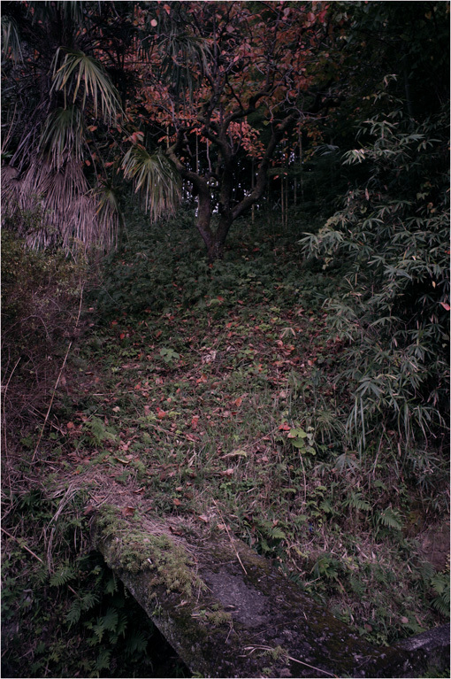 c0168172_17190295.jpg