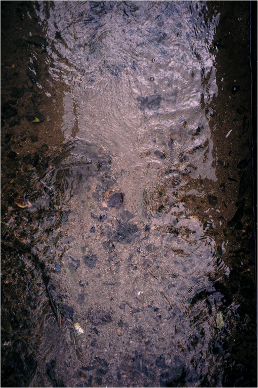 c0168172_17193549.jpg