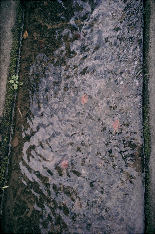 c0168172_17195791.jpg
