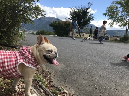 d0048577_13021807.jpeg