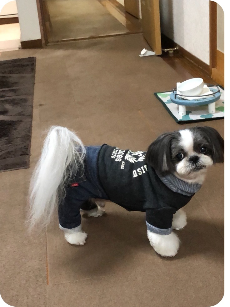 e0352281_21245043.jpeg