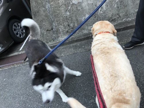 f0315081_22363121.jpeg