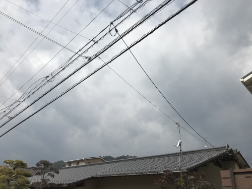 f0315081_22402164.jpeg