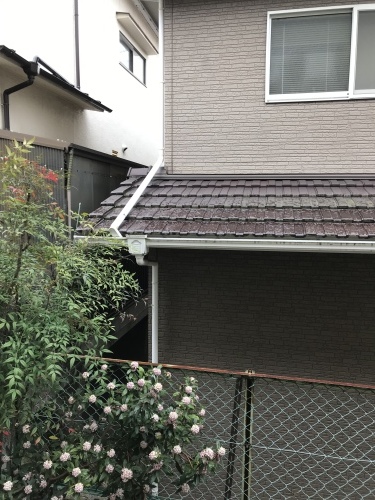 f0315081_22430486.jpeg