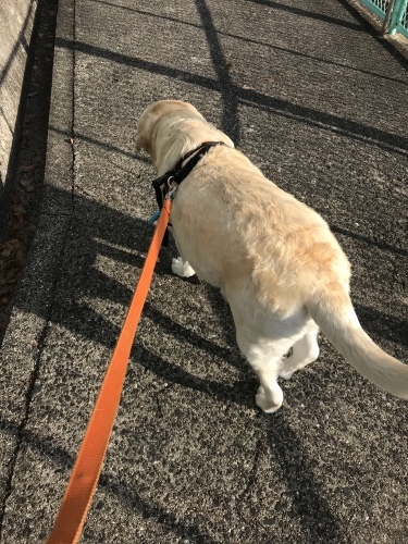 f0315081_22441021.jpeg