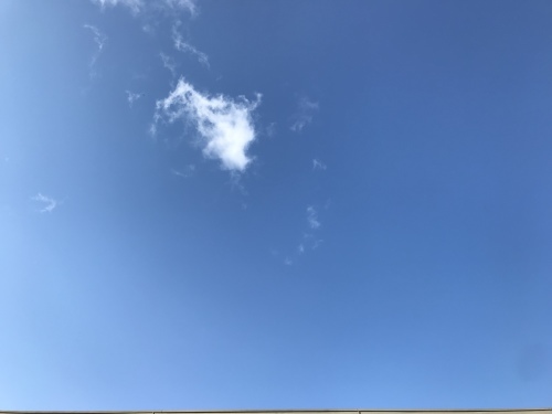 f0315081_22460631.jpeg