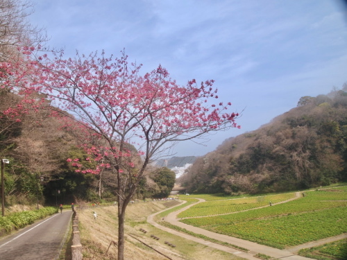 a0198883_15515550.jpg