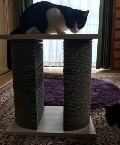 a0216583_20415595.jpeg