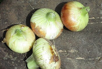f0003283_08083526.jpg