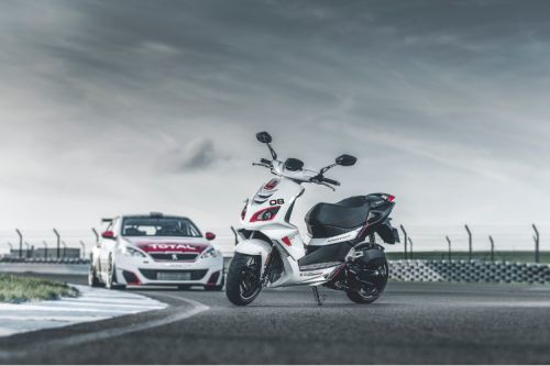PEUGEOT SPEEDFIGHT R-CUP_b0170184_08153533.jpg