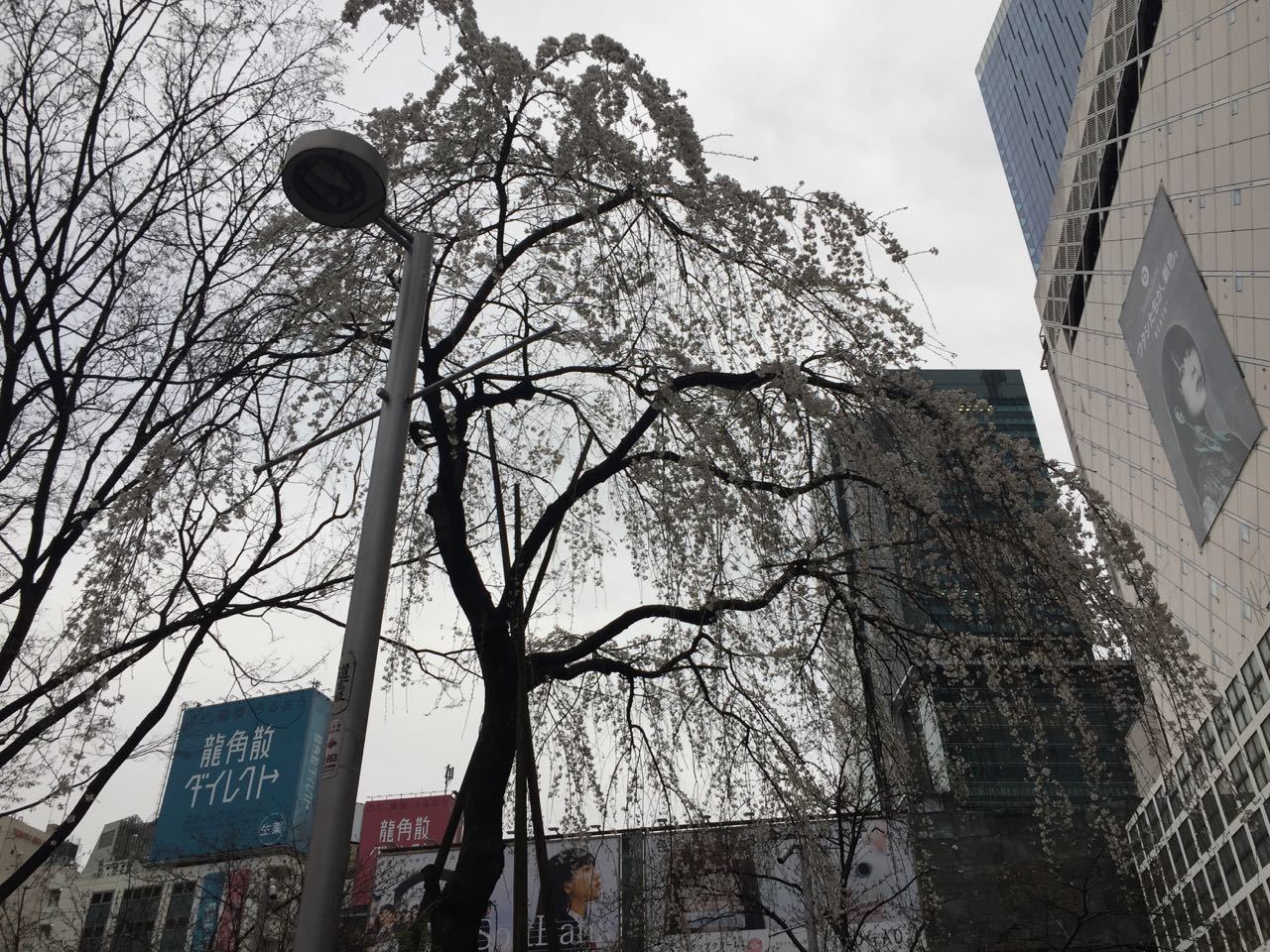 f0130894_21081837.jpg