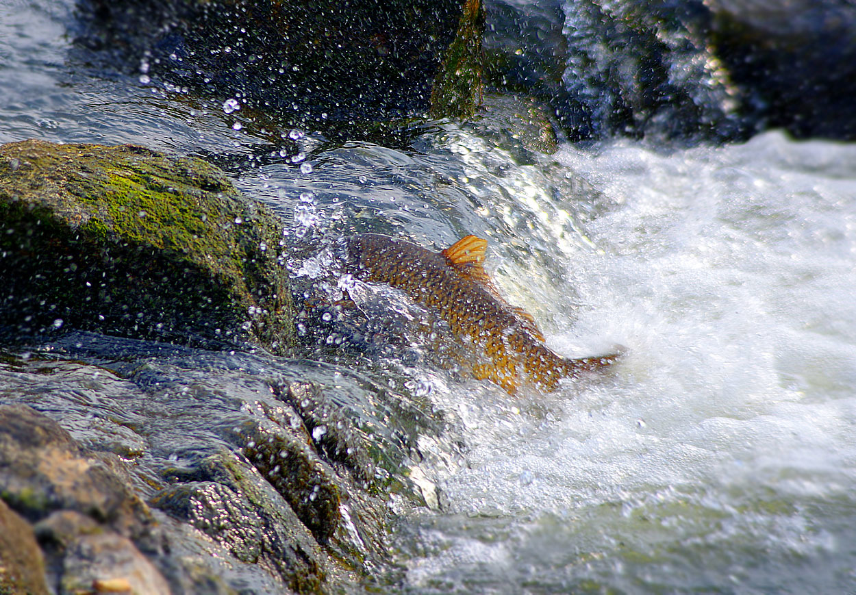 b0409196_01184503.jpg