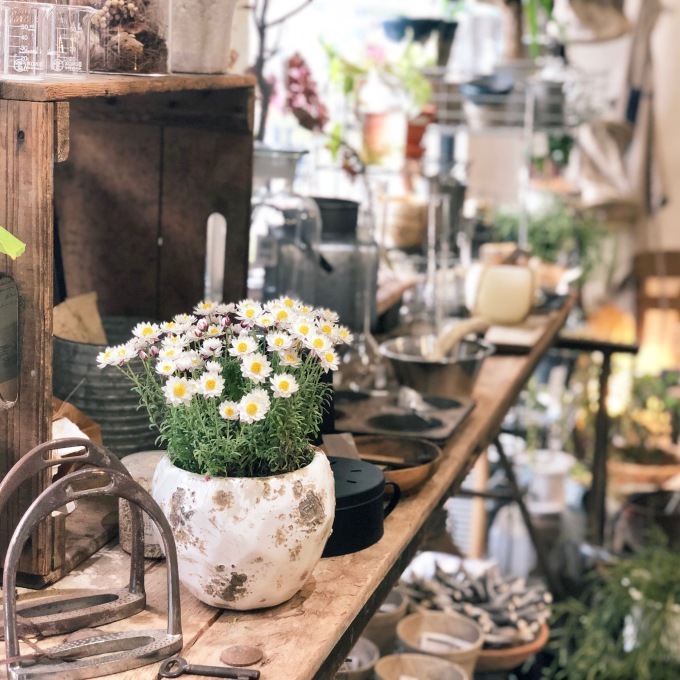 3/23 明日はSUNDAY MARKET☀️_b0403499_05010818.jpeg