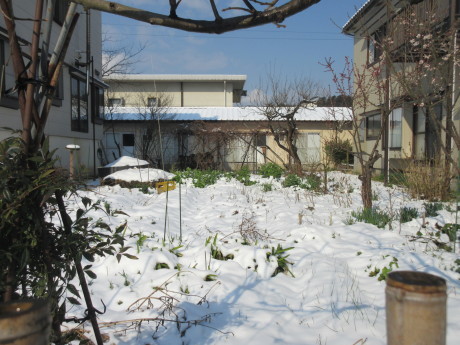 a0203003_21000736.jpg