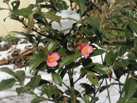 a0203003_21002436.jpg